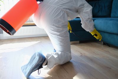 Roach Fumigation in West Palm Beach, FL