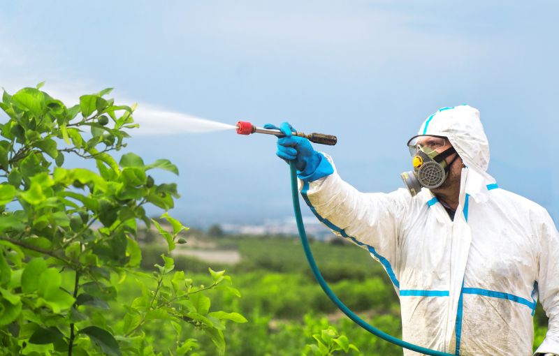 Spider Fumigation Service in Cumming, GA