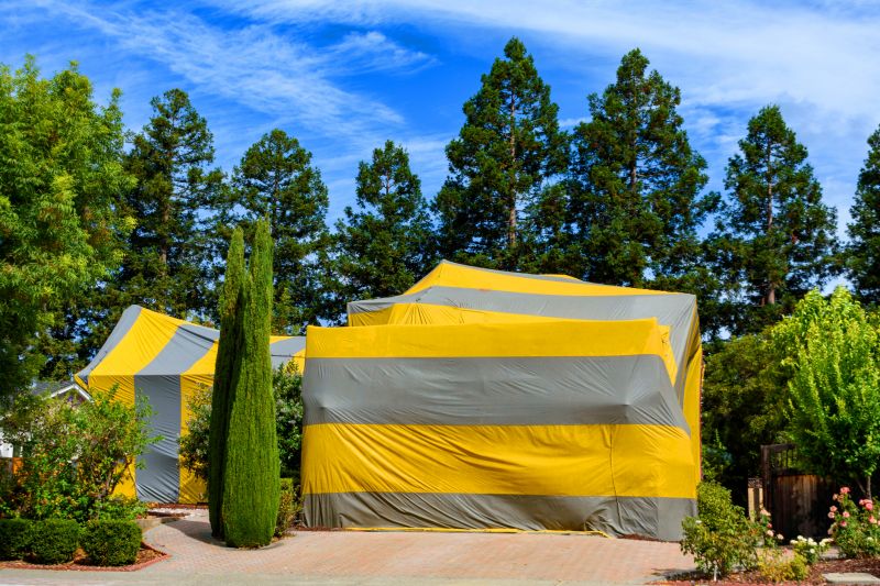Termite Tenting in Madison, WI