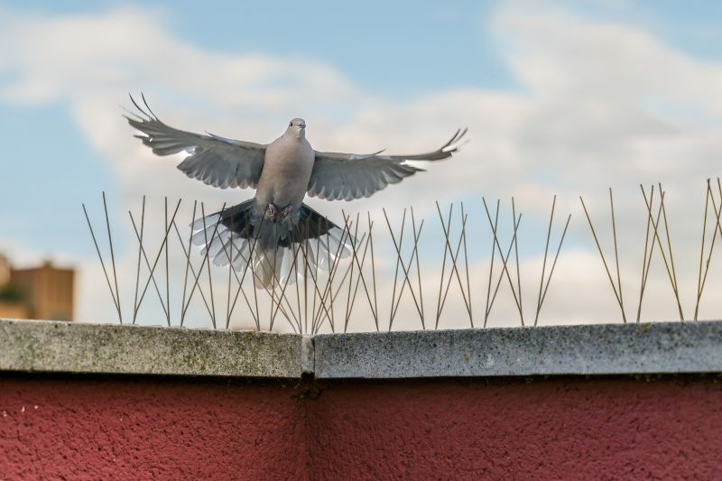 Vole-Proof Fencing