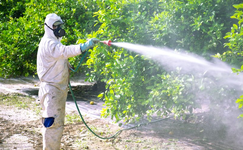 Pest Fumigation Service in Woodbridge, VA