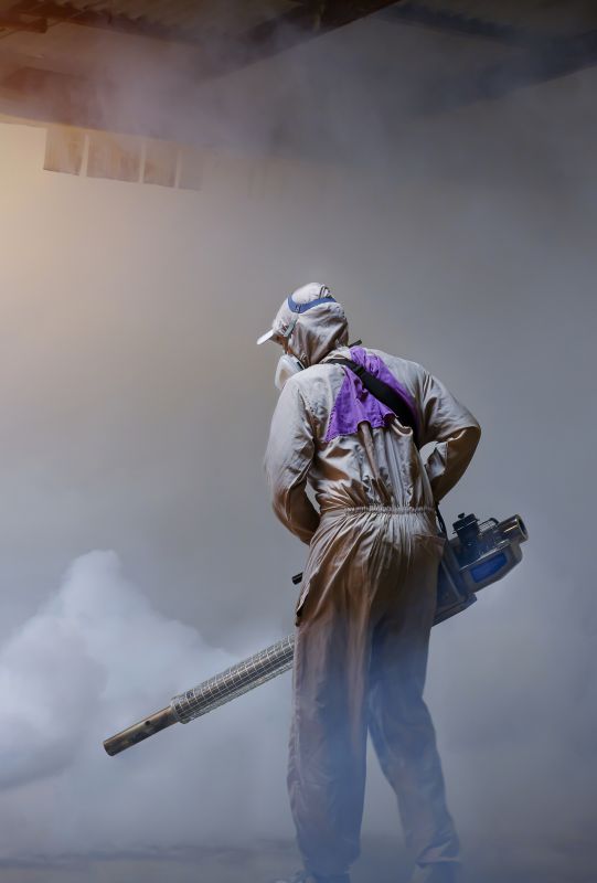 Rat Fumigation Service in Wilmington, DE
